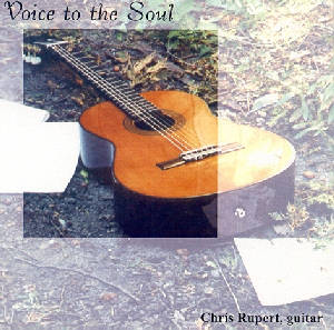 Voice to the Soul cover